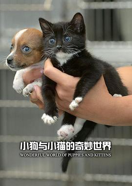 小狗与小猫的奇妙世界(全集)